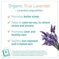 Puressentiel Echte Lavendel Olie BIO 10ml - thumbnail