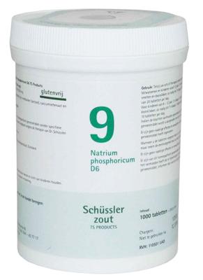 Pfluger Celzout 09 Natrium Phosphoricum Tabletten