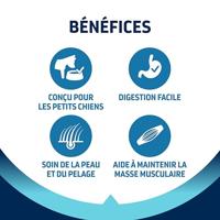 ADVANCE MINI ADULT - thumbnail