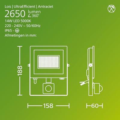Philips LED Lois 929004643301 LED-buitenschijnwerper met bewegingsmelder 14 W Lichtkleur (naam): Koudwit