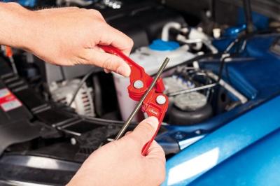 Buisbuiger Vigor V1782