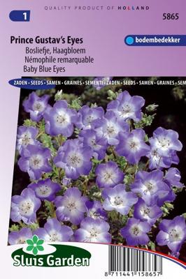 Nemophila zaden Prince Gustav's Eyes bosliefje