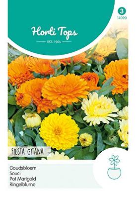 Calendula Officinalis Fiesta Gitana Gemengd - Hortitops