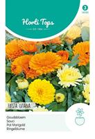 Calendula Officinalis Fiesta Gitana Gemengd - Hortitops - thumbnail
