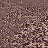 Architects Paper AP Arcade - Goud - 391743 - thumbnail