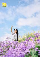 Nikon Z 28mm f/2.8 SE - thumbnail