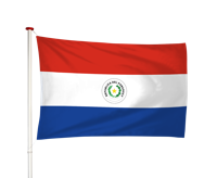 Paraguayaanse Vlag - thumbnail