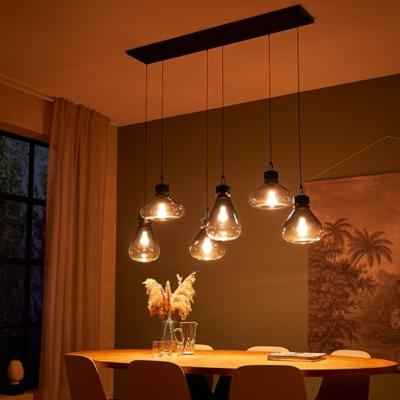 Steinhauer Hanglamp Flere Zwart