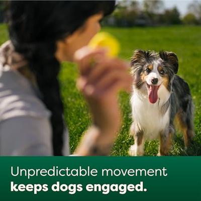 EARTH RATED FETCH TOY RUBBER - thumbnail
