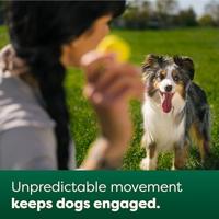 Earth Rated fetch toy rubber - thumbnail