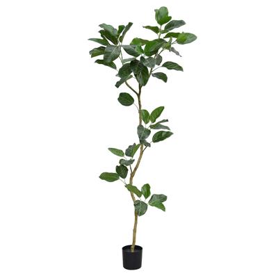 Ficus Audrey Kunstboom RT 240cm