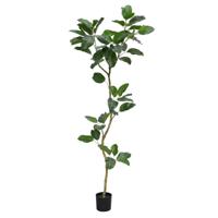 Ficus Audrey Kunstboom RT 240cm - thumbnail