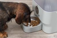 Trixie voederautomaat TX-C Smart - 5 liter - interactief met camera Per stuk - thumbnail