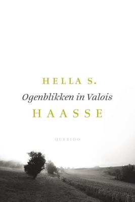Ogenblikken in Valois - Hella S. Haasse - eBook (9789021408460) Ogenblikken in Valois - Hella S. Haasse - eBook (9789021408460)