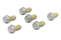 TRW bouten set screw set 6pcs. m6x1 - thumbnail