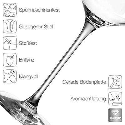 Leonardo Champagneglazen - Flutes - Puccini - 280 ml - 6 stuks
