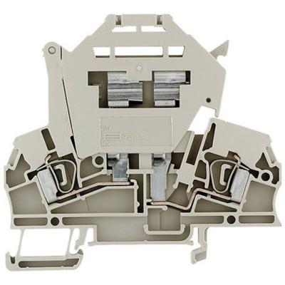 Weidmüller 1616400000-1 Zekering-serieklem Spanveer Donkerbeige 1 stuk(s)