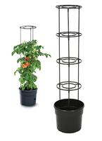 BLOEMPOT VOOR TOMATEN, 295X295 - thumbnail