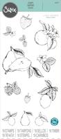 Sizzix • clear stamp set botanical fruit 19pcs - thumbnail