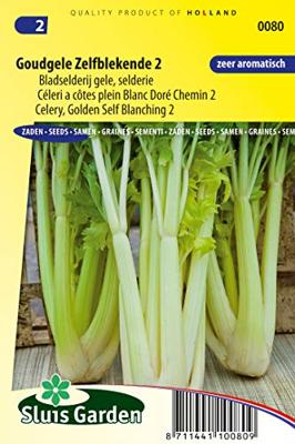 Bladselderij goudgele zelfblekende 2 zaden Bladselderij goudgele zelfblekende 2 zaden
