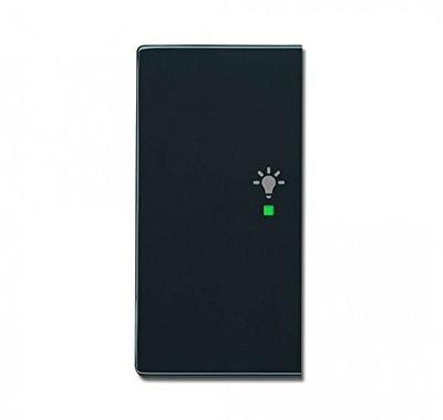 Busch-Jaeger 2CKA006220A0050 Wipschakelaar licht Afdekking 2-voudig free@home Zwart-grijs, Antraciet 1 stuk(s) Busch-Jaeger 2CKA006220A0050 Wipschakelaar licht Afdekking 2-voudig free@home Zwart-grijs, Antraciet 1 stuk(s)