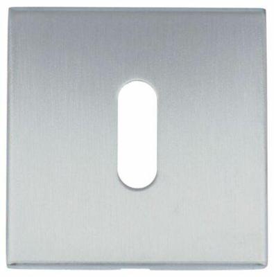 Formani BSQN53 BASICS sleutelplaatje mat roestvast staal