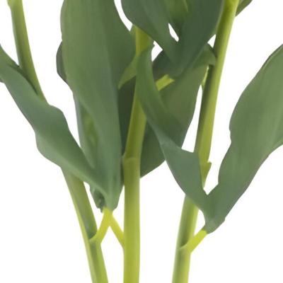 Paeony Marlie bundle a 3 pcs aubergine 63 cm kunstbloem Erutan Avon - Erutan avon Paeony Marlie bundle a 3 pcs aubergine 63 cm kunstbloem Erutan Avon - Erutan avon