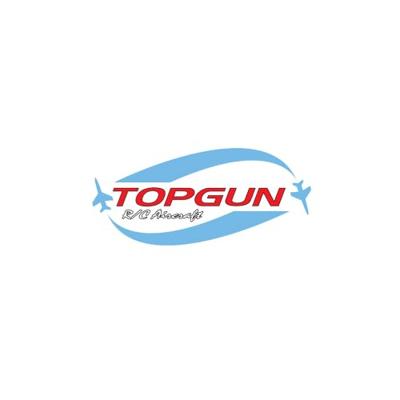 Top Gun Park Flite Cessna 182 Skylane TX+RX Combo