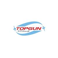Top Gun Park Flite Cessna 182 Skylane TX+RX Combo - thumbnail