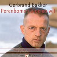 Perenbomen bloeien wit - thumbnail