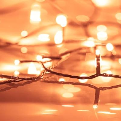 VidaXL Lichtsnoer met 400 led&apos;s met 8 lichteffecten 40 m warmwit