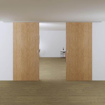 Xperta set 6m rail - alu - Plafond opbouw - Dubbele deur - Deurdikte 50-55mm - inbouw auto fix - Set Eindkappen