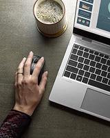 HP Premium Muis Radiografisch Laser Zwart 3 Toetsen 1600 dpi Touch-oppervlak - thumbnail