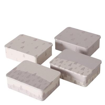 Boltze Home Voorraadblik metaal 12x9x4cm