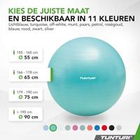 Fitnessbal Anti-Burst 65cm Turquoise - thumbnail