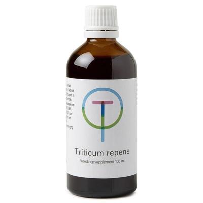 Therapeutenwinkel Triticum repens 100 Milliliter