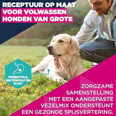 Eukanuba Adult Large met lam en rijst hondenvoer 2 x 12 kg