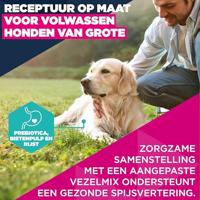 Eukanuba Adult Large met lam en rijst hondenvoer 2 x 12 kg - thumbnail