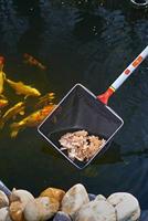 WOLF-Garten multi-star WK-M Vijvernet - thumbnail