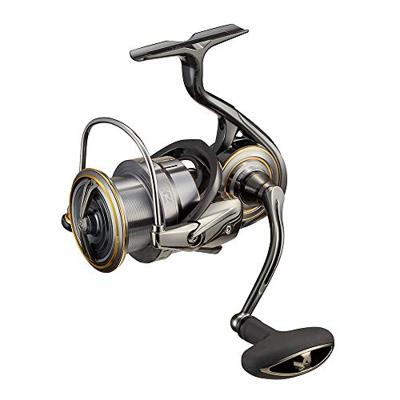 Daiwa Luvias Airity 21 LT 4000-C