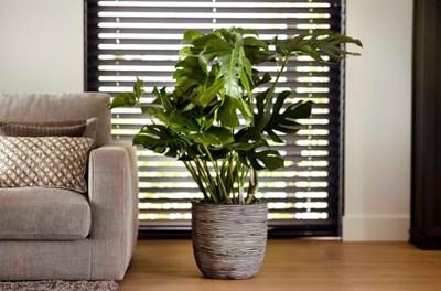 Capi Pot Bol Rib NL 43x41 cm - Antraciet