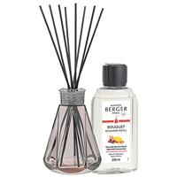 Maison Berger Paris parfumverspreider pyramid rosé orange cinnamon 200 ml - thumbnail