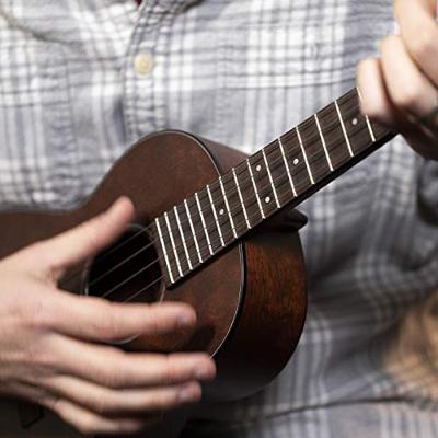 Martin Strings M630 Baritone Clear Fluorocarbon snaren