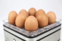 Caso E9 2771 Eierkoker 400W - thumbnail