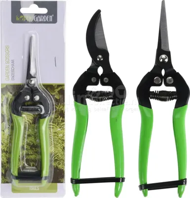 Snoeischaar Groen Assorti 1st