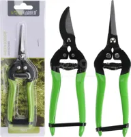 Snoeischaar Groen Assorti 1st - thumbnail