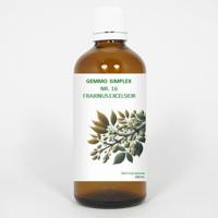 Balancepharma Gemmo simplex 16 fraxinus excelsior 100 Milliliter - thumbnail