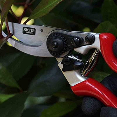 Siena Garden CG1080 Grasschaar 21.5 cm Bypass