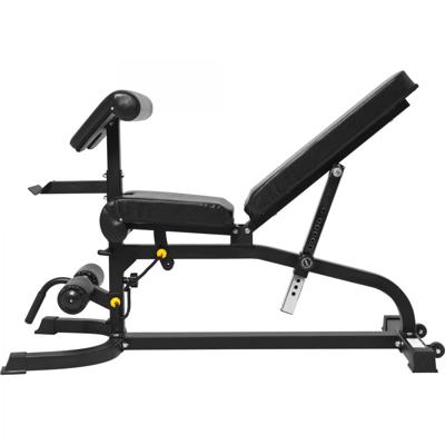 Professionele Fitnessbank Met Curlfuncties