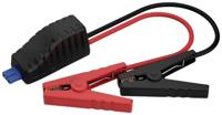 Ansmann Powerstation Jumpstart Adapter PS600AC PS2200AC Startkabels 8.37 mm² ABS, PVC 0.50 m Met kunststof klemmen, Met geïsoleerde accuklemmen - thumbnail